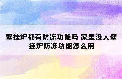 壁挂炉都有防冻功能吗 家里没人壁挂炉防冻功能怎么用